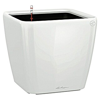 Lechuza Macetero para plantas Quadro Premium (Dimensiones externas (L x An x Al): 35,5 x 35,5 x 32,5 cm, Plástico, Blanco)
