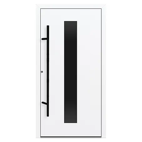 FM Türen  Haustür FM90-61