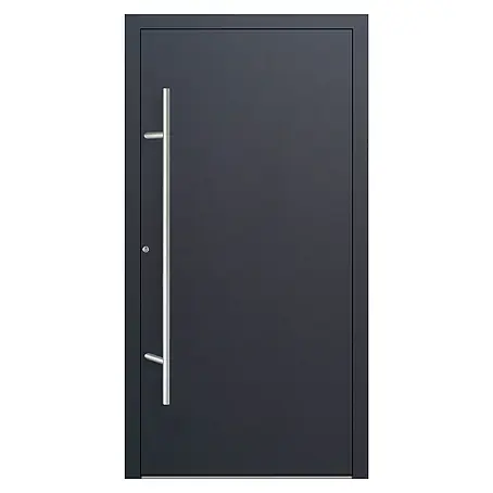 FM Türen  Haustür FM90-00