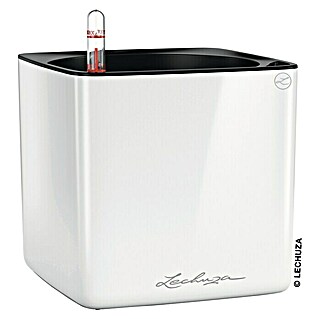 Lechuza Kräuterkasten Cube Glossy (Außenmaß (L x B x H): 17 x 17 x 16 cm, Kunststoff, Weiß, Glänzend)