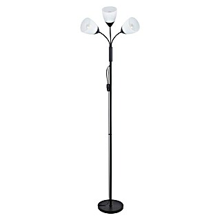 Lámpara de pie Nieves (25 W, Altura: 179 cm, Negro, E27)