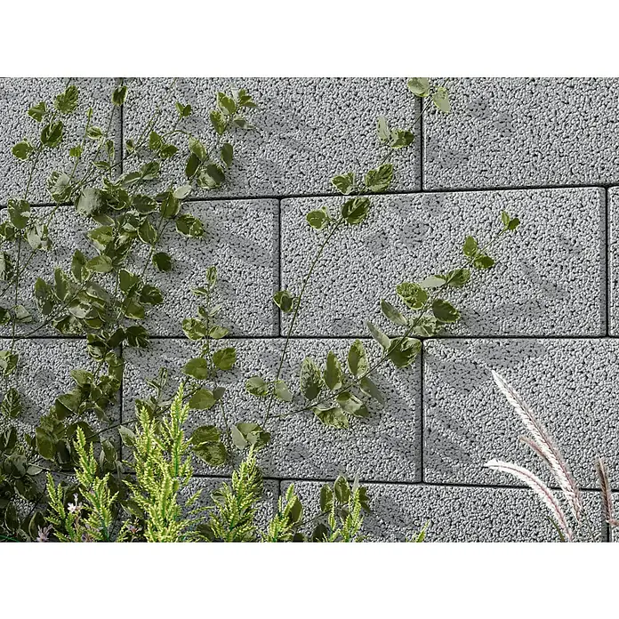 EHL Planomur Mauerstein Normalstein - Grau, 50 x 25 x 20 cm, Beton - Nahaufnahme einer grauen Betonsteinmauer mit Pflanzenbewuchs, ideal für Garten- und Landschaftsgestaltung.
