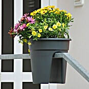 KHW Geländertopf Flowerclip (3 Stk., Ø x H: 27 x 27,5 cm, Anthrazit)