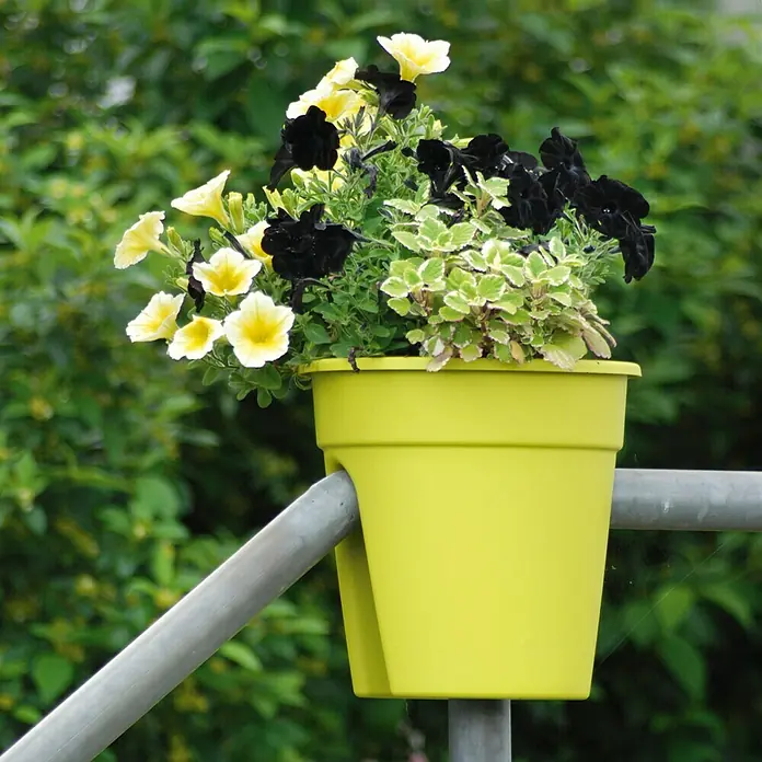 KHW Geländertopf Flowerclip - Außenmaß (Ø x H): 27 x 27,5 cm, Kunststoff, Grün - Ein auffälliger gelber Blumenkasten mit bunten Blüten hängt an einem metallenen Geländer und verschönert den Außenbereich mit Farbe.