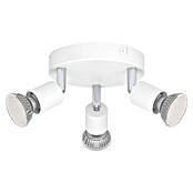 Eglo Regleta redonda Stecci-E (15 W, Ø x Al: 14 x 7,5 cm, Blanco, GU10) | BAUHAUS