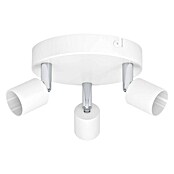 Eglo Regleta redonda Stecci-E (15 W, Ø x Al: 14 x 7,5 cm, Blanco, GU10) | BAUHAUS