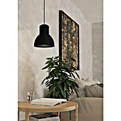 Eglo Capoliverie Pantalla de lámpara (Ø x Al: 17,5 x 17 cm, Negro) | BAUHAUS