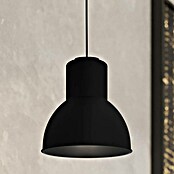 Eglo Capoliverie Pantalla de lámpara (Ø x Al: 17,5 x 17 cm, Negro) | BAUHAUS