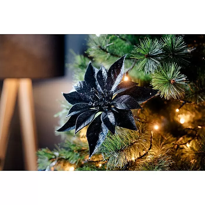 Dekoblüten Christrose - Durchmesser: 18 cm, Kunststoff, Schwarz, Weihnachtsstern - Eine schwarz glitzernde Poinsettie als Dekoration an einem grünen Weihnachtsbaum mit warmen Lichtern.