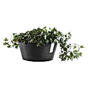 Ecopots Pflanzschale rund Frankfurt (Außenmaß (Ø x H): 50 x 25 cm, Kunststoff, Dunkelgrau) | BAUHAUS