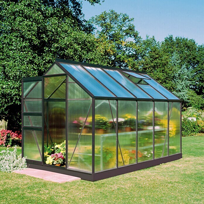 Juliana Gewächshaus Popular 106 (3,19 x 1,93 x 1,95 m, Polycarbonat, Glasstärke: 4 mm, Anthrazit)