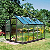Juliana Gewächshaus Popular 106 (3,19 x 1,93 x 1,95 m, Polycarbonat, Glasstärke: 4 mm, Anthrazit)