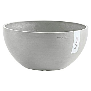 Ecopots Brussel Pflanzschale rund (Außenmaß (Ø x H): 35 x 16,5 cm, Kunststoff, Weiß Grau)