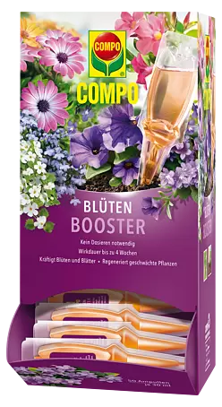 Compo Flssigdnger Blten Booster - 30 ml, Geeignet fr: Blhpflanzen  online kaufen bei BAUHAUS