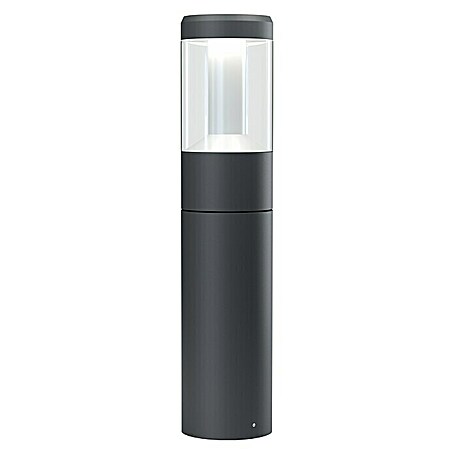 Ledvance LED-Außenleuchte Lantern (12 W, Dunkelgrau, Ø x H: 11 x 50 cm)