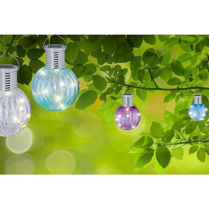 Globo Solar-Dekoleuchte - 0,06 W, L x B x H: 33 x 25 x 11 cm, Bunt, IP44 - Nahaufnahme von Solarleuchten in verschiedenen Farben, die an einem Baum hängen und eine gemütliche Atmosphäre schaffen.