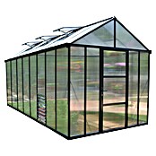 Palram Gewächshaus Glory 8x16 (4,83 x 2,44 x 2,68 m, Glasstärke: 10 mm, Polycarbonat)