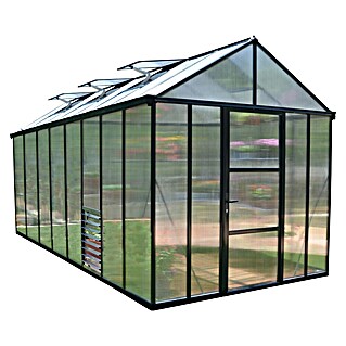 Palram – Canopia Gewächshaus Glory 8x16 (Außenmaß inkl. Dachüberstand (B x T): 244,5 x 484 cm, 10 mm, Anthrazit)