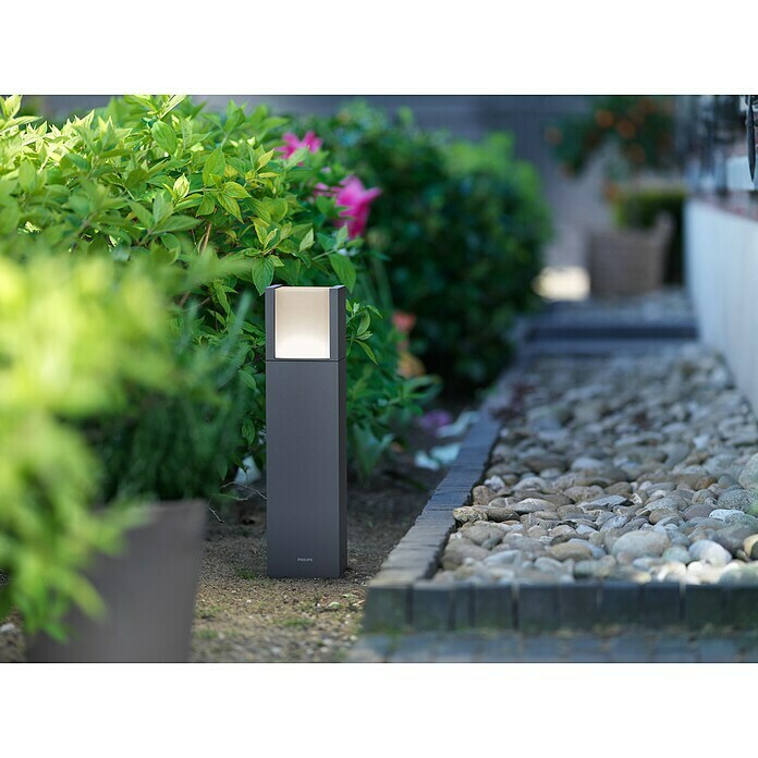 ARBOUR STEHLAMPE ANTRACIT 1X6W LED