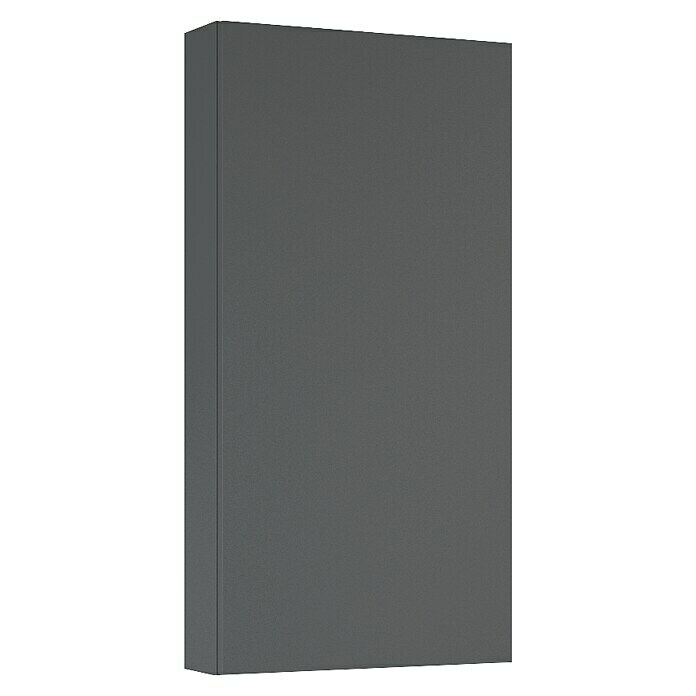 Riva Compact Hängeschrank (40 x 12,6 x 80 cm, Anthrazit) | BAUHAUS