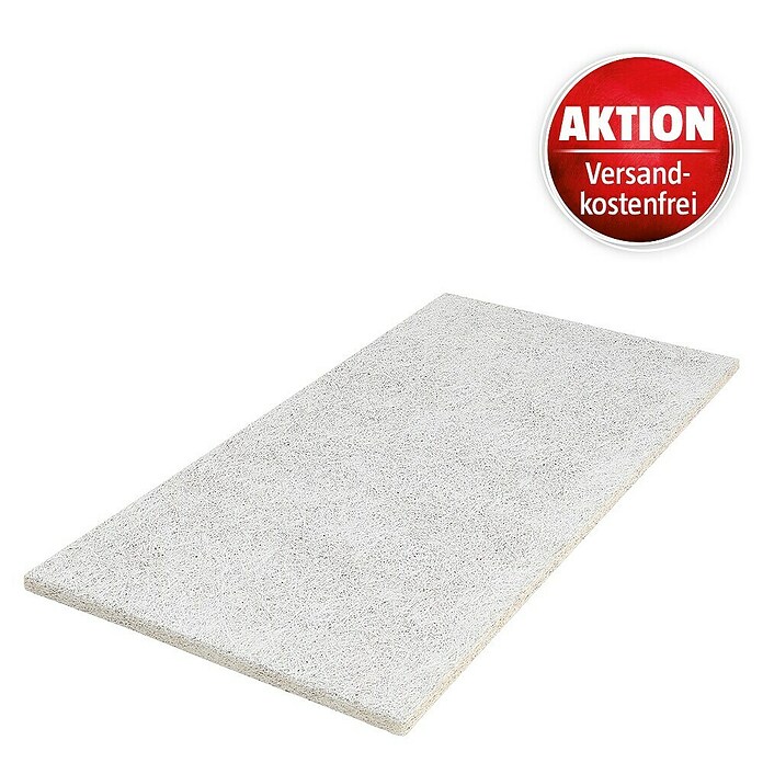 FibroTech Akustikplatte Xtra Fein (Signalweiß, 1.200 x 600 x 25 mm, 0,72 m²) | BAUHAUS