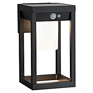 Paulmann Aplique solar para exterior Marisol (Potencia máx. del sistema: 5,5 W, L x An x Al: 18 x 15 x 27 cm, Negro, Flujo luminoso: 350 lm)