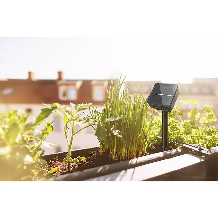 Paulmann LED-Band Outdoor Solar - Länge: 300 cm, Lichtfarbe: Warmweiß, 220 V - 240 V - Solarbetriebener Pflanzensensor im Blumenkasten. Der Sensor überwacht Bodenfeuchtigkeit, Temperatur und Licht für optimales Pflanzenwachstum.