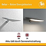 Paulmann LED-Solar-Außenwandleuchte Kiran (Bewegungsmelder, Kunststoff, Warmweiß, Anthrazit) | BAUHAUS