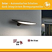 Paulmann LED-Solar-Außenwandleuchte Kiran (Bewegungsmelder, Kunststoff, Warmweiß, Anthrazit) | BAUHAUS