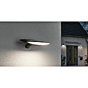 Paulmann LED-Solar-Außenwandleuchte Kiran (Bewegungsmelder, Kunststoff, Warmweiß, Anthrazit) | BAUHAUS