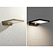 Paulmann LED-Solar-Außenwandleuchte Solveig (Dämmerungssensor, Kunststoff, Warmweiß, Schwarz) | BAUHAUS