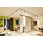 Paulmann URail Foco LED para riel Tubo (5 W, Blanco cálido, Cromo) | BAUHAUS