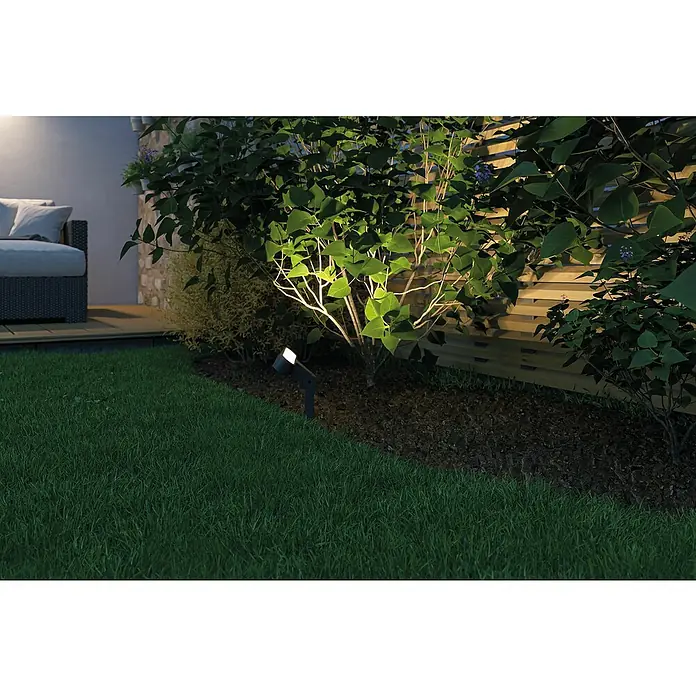 Paulmann Plug & Shine LED-Gartenspot Ito - 7,5 W, Warmweiß, L x B x H: 4 x 22,7 x 37,2 cm - Gartenbeleuchtung setzt einen Baum in Szene.