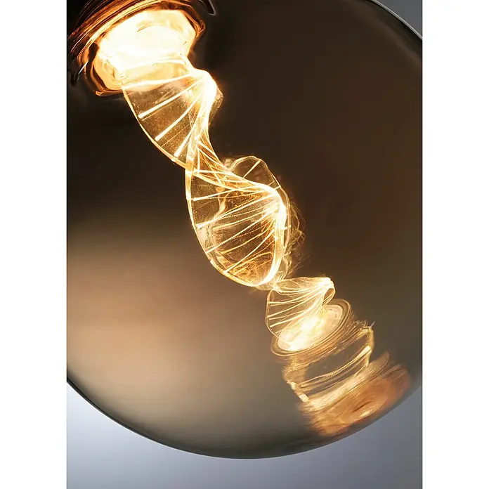 Paulmann Inner Glow LED-Lampe Vintage Globe-Form E27 - E27, Dimmbarkeit: Nicht Dimmbar, Warmweiß, 180 lm, Farbe: Gold - Nahaufnahme einer stylischen Glühbirne mit einem kunstvollen, spiralförmigen Glühfaden in einem getönten Glas.