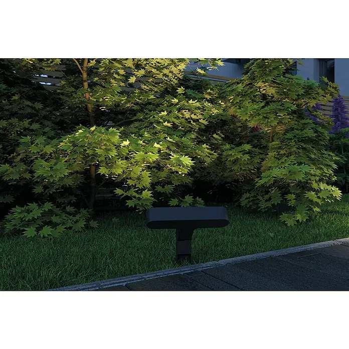 Paulmann Plug & Shine LED-Gartenspot Ito - 7,5 W, Warmweiß, L x B x H: 4 x 22,7 x 37,2 cm - Eine schwarze Gartenlampe steht auf einem Rasen vor grünen Büschen und Bäumen und beleuchtet diese dezent im Dunkeln.