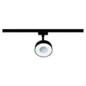 Paulmann URail LED-Spot Circle 3-Step-Dim (Schwarz-matt, Neutralweiß) | BAUHAUS