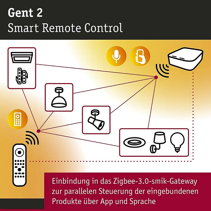 Paulmann Afstandsbediening Smart Home Bluetooth Boss Zwart 50001