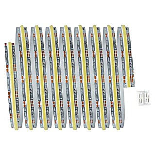Paulmann MaxLED 500 LED-Band Full-Line Tunable White (Länge: 250 cm, Lichtfarbe: Mehrfarbig, 13 W, 1 500 lm, 230 V)