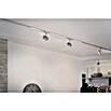 Paulmann URail LED-Spot Circle 3-Step-Dim (Chrom matt, Warmweiß) | BAUHAUS