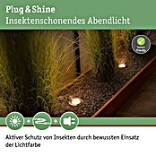 Paulmann Plug & Shine Bodeneinbauleuchte Floor insektenfreundlich (9,8 cm, Warmweiß, IP67) | BAUHAUS