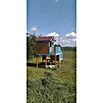 Spielhaus Tom 60 (L x B x H: 226,5 x 176 x 272 cm, Holz, Natur/Rot) | BAUHAUS