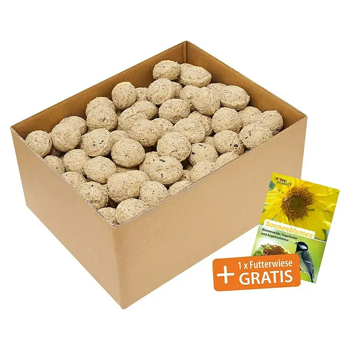 Dobar Meisenknödel Set mit Samenmischung Futterwiese - 100 Stk. - Eine Kiste voller runder Vogelfutterknödel, daneben ein Prospekt und ein Werbeschild. Die Knödel sind hellbraun und mit Körnern übersät.