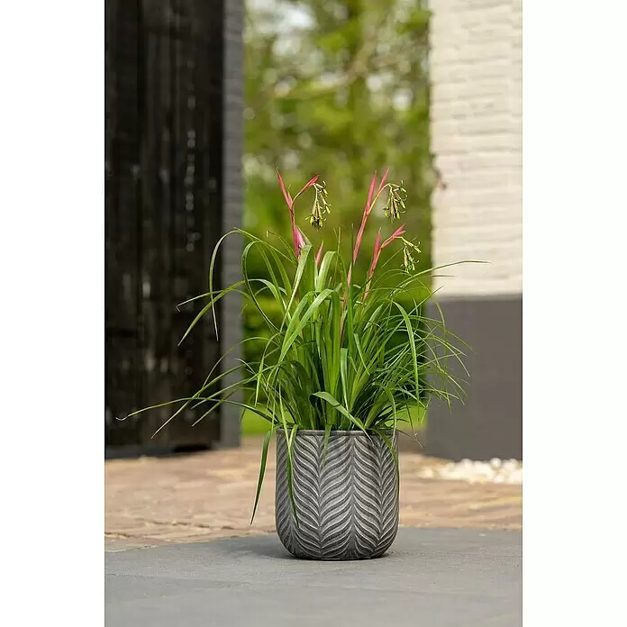 Macetero redondo Birmingham - Dimensiones externas (Ø x Al): 40 x 40 cm, Material compuesto, Gris oscuro - Una planta vibrante con hojas verdes y flores rosas en una maceta gris estampada en un patio.
