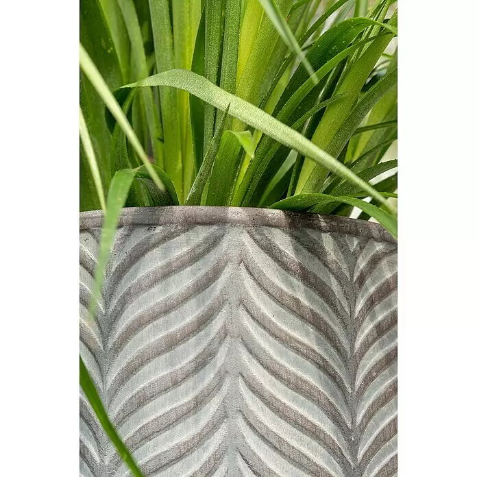 Macetero redondo Birmingham - Dimensiones externas (Ø x Al): 40 x 40 cm, Material compuesto, Gris oscuro - Primer plano de una planta verde en maceta en una maceta gris con un patrón de hoja en relieve.