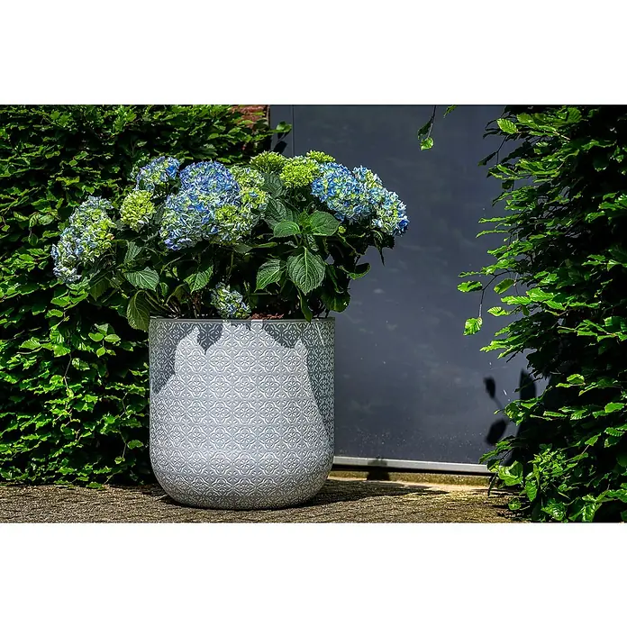 Pflanzkübel rund Birmingham - Außenmaß (Ø x H): 40 x 40 cm, Verbundwerkstoff, Cremegrau - Nahaufnahme eines grauen Blumentopfs mit blau-grünen Hortensienblüten, der vor einem grünen Busch und einer grauen Wand steht.