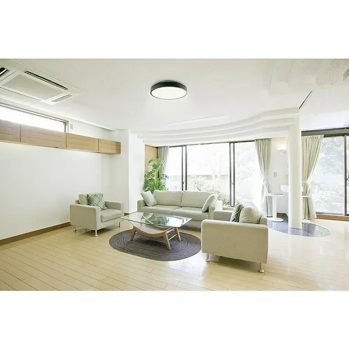Garza Plafón LED redondo Road - 24 W, 29,5 cm, Negro, Blanco frío - Luminoso salón con sofá, sillones, mesa de centro y moderna lámpara de techo, proporcionando buena iluminación a la habitación.\n