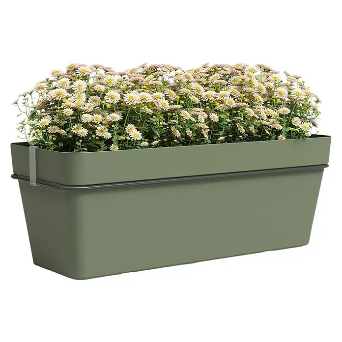 Artevasi Capri Geländerkasten - Außenmaß (L x B x H): 50,2 x 28,5 x 20 cm, Kunststoff, Grün - Nahaufnahme eines Blumenkastens in Olivgrün, bepflanzt mit üppigen Margeriten, ideal für Balkon oder Terrasse.