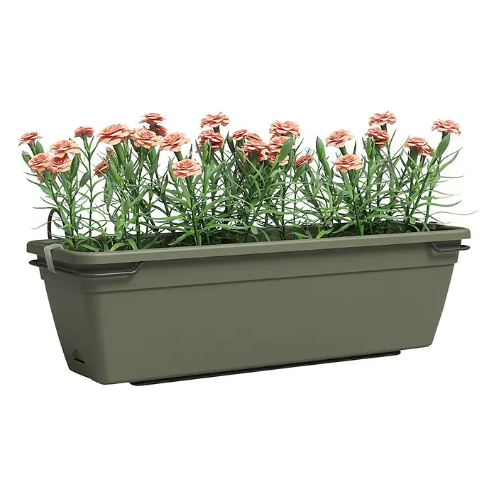 UP VASO DA BALCONE - TORTORA | Agraria Di Vita