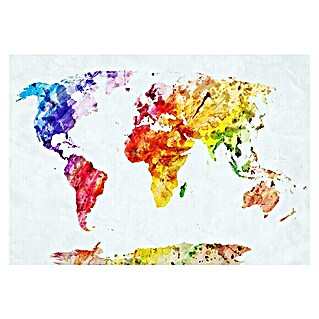 Cuadro Mapa colores (Manada León B&N, An x Al: 150 x 60 cm, 1 pzs.)
