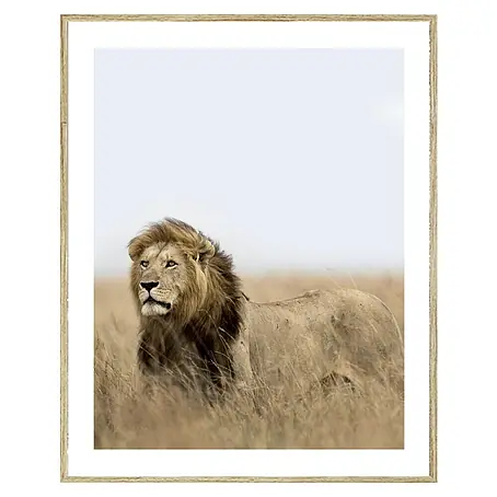 Cuadro León